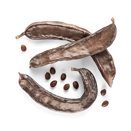 Johannisbrotfrucht
