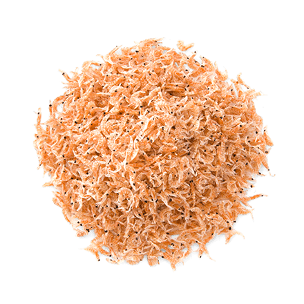 Antarktischer Krill